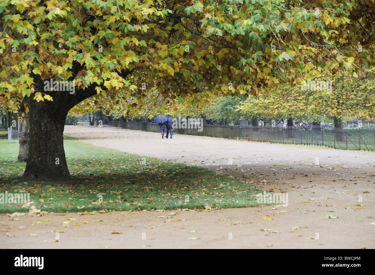 Couple  with umbrella walking along gravel path in  autumn at Christ Church College, Oxford University, Oxford, UK Stock Photo