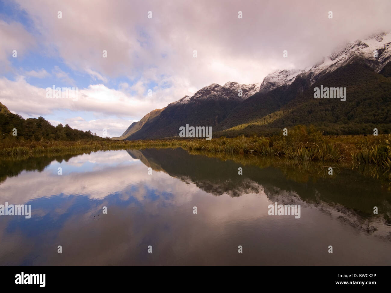 Reflecting lake in New Zealand Stock Photo - Alamy