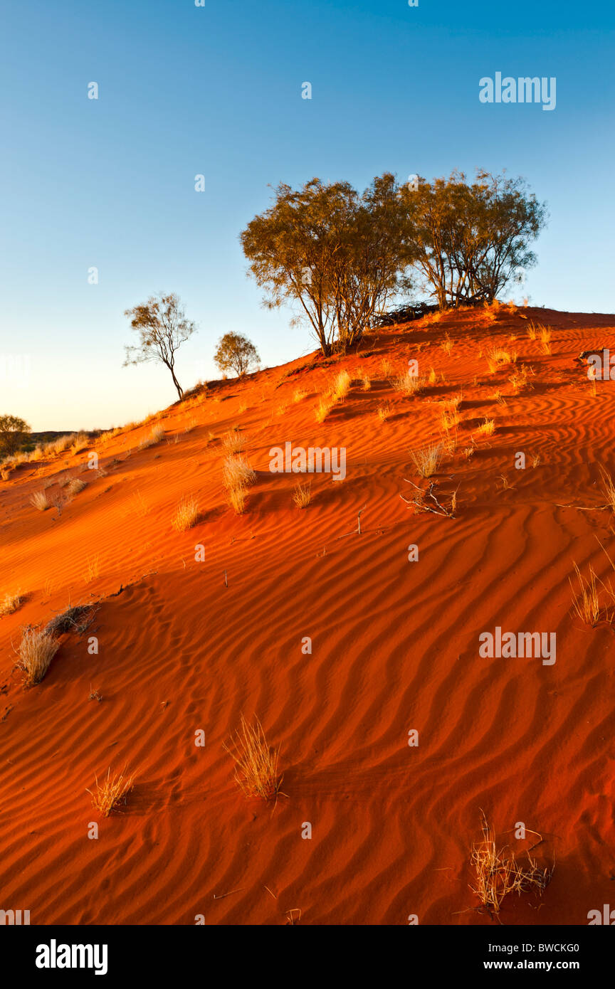 Aboriginal community hires stock photography and images Alamy