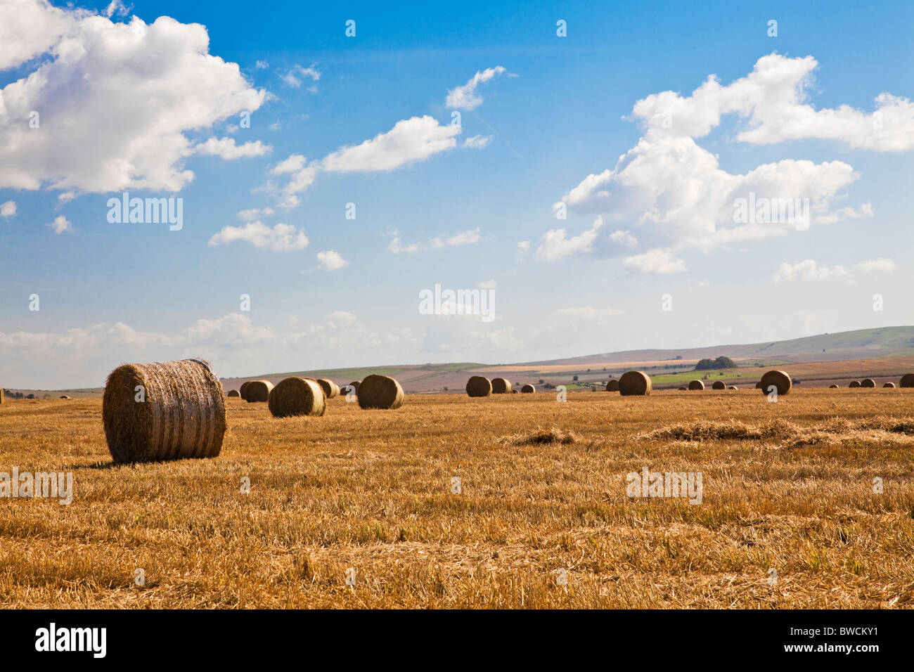 Round hay bales in fields near Roundway Down, Wiltshire, England, UK Stock Photo