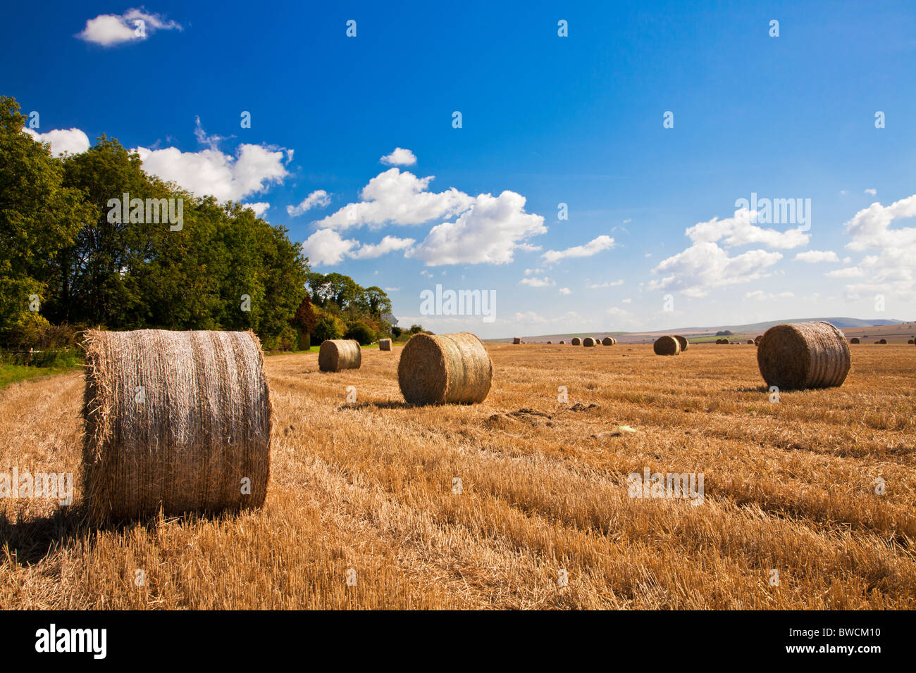 Round hay bales in fields near Roundway Down, Wiltshire, England, UK Stock Photo