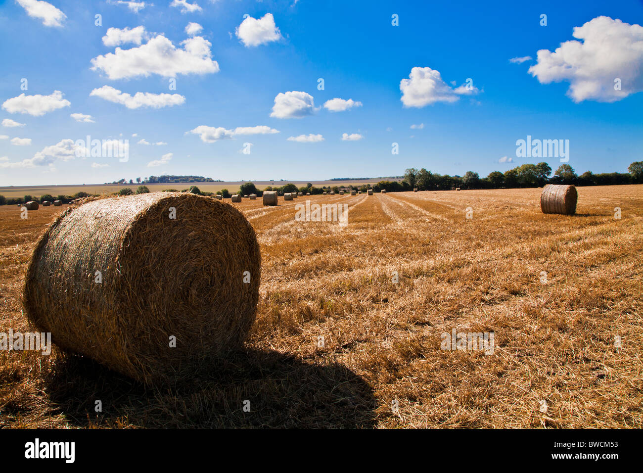 Round hay bales in fields near Roundway Down, Wiltshire, England, UK Stock Photo