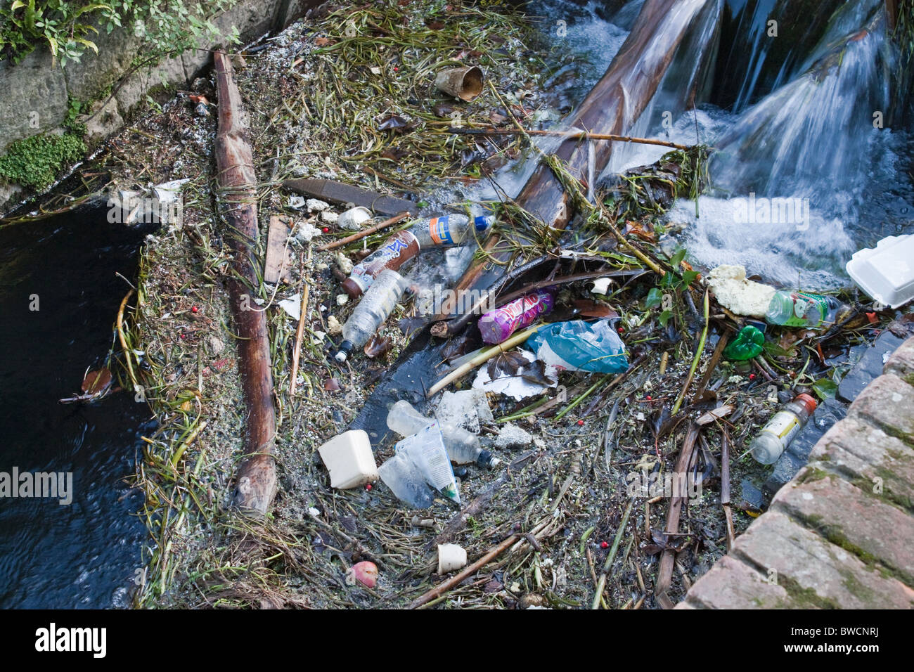 River Stour. Pollution. Rubbish collecting in a Canterbury City Centre weir during the summer months. Stock Photo