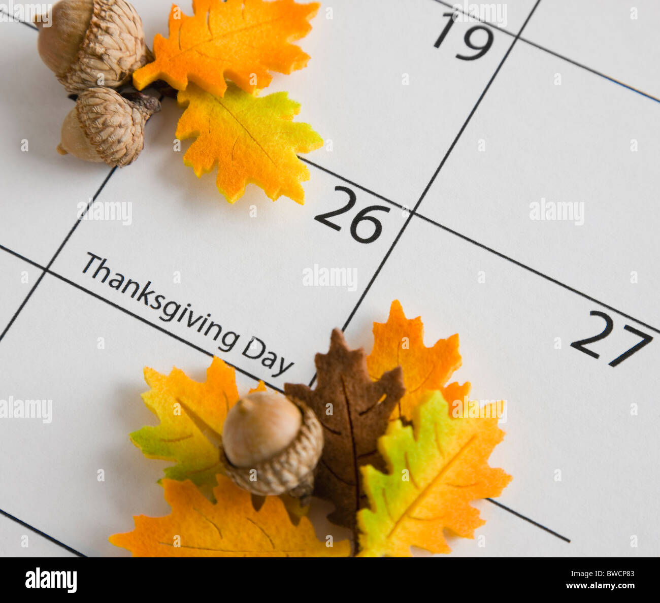 USA, Illinois, Metamora, Acorns on calendar Stock Photo