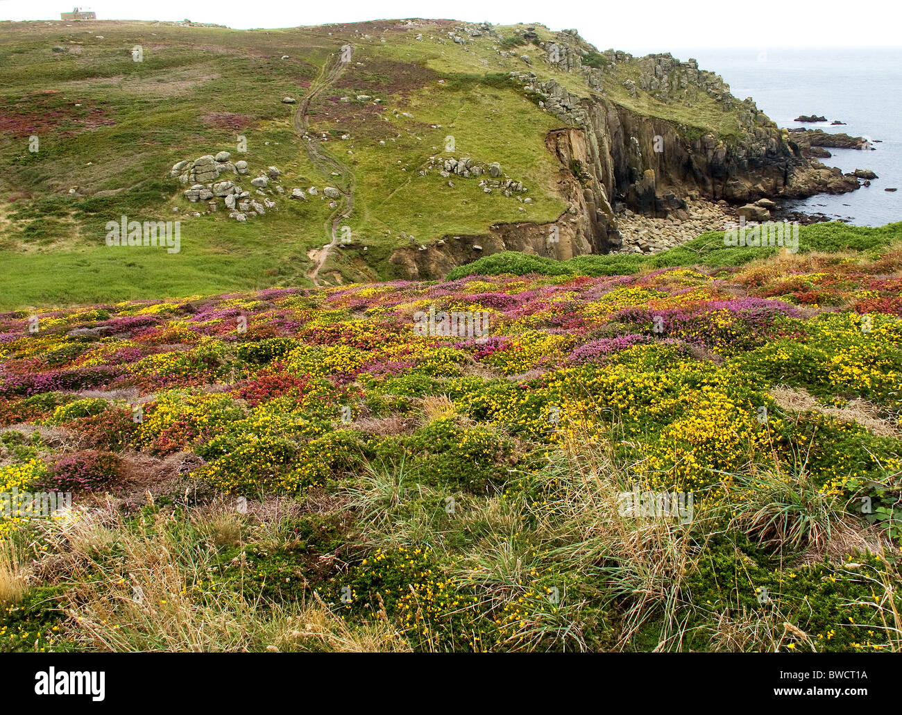 Wop peninsula hires stock photography and images Alamy