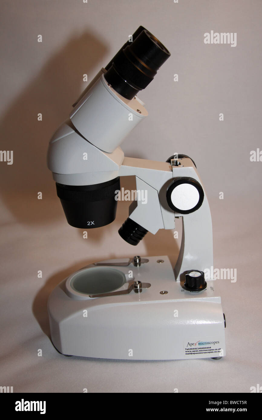 Stereoscope microscope for looking at objects using low magnification science scientist discovery research tool examination Stock Photo