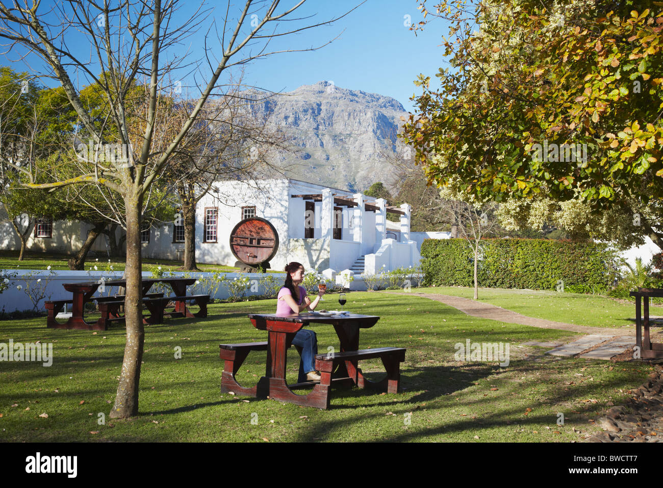 Woman with cheese platter and wine at Blaauwklippen Wine Estate, Stellenbosch, Western Cape, South Africa Stock Photo
