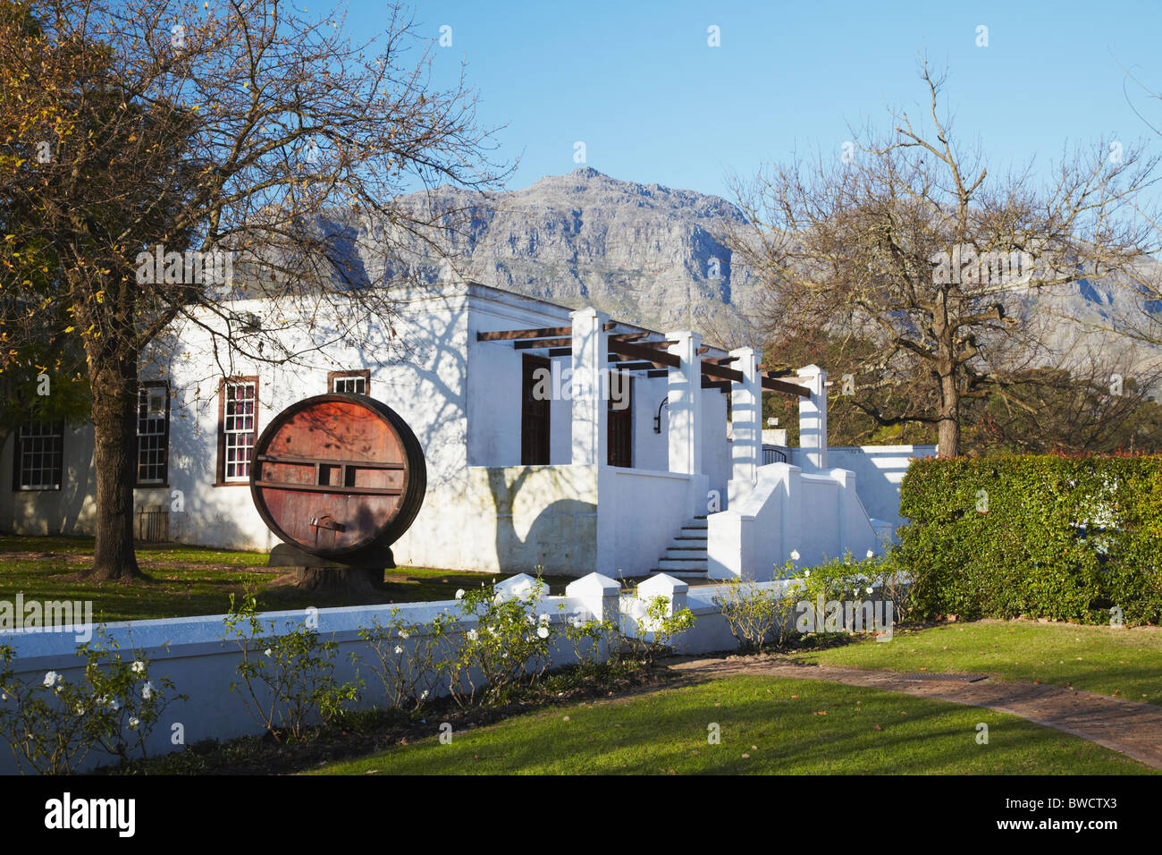 Blaauwklippen Wine Estate, Stellenbosch, Western Cape, South Africa Stock Photo