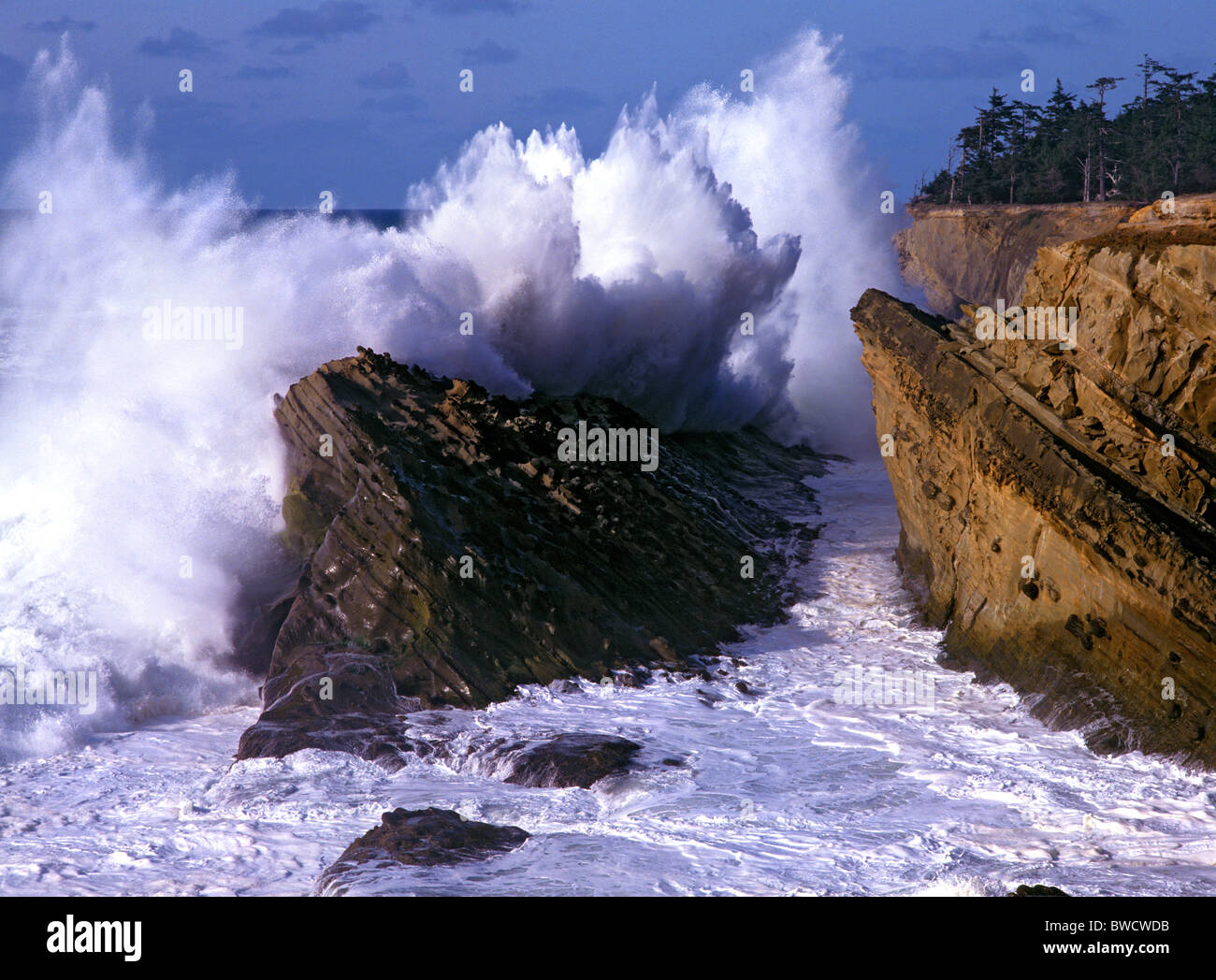 Pacific breaker explodes against the cliffs at Oregon's Shore Acres State Park. Stock Photo