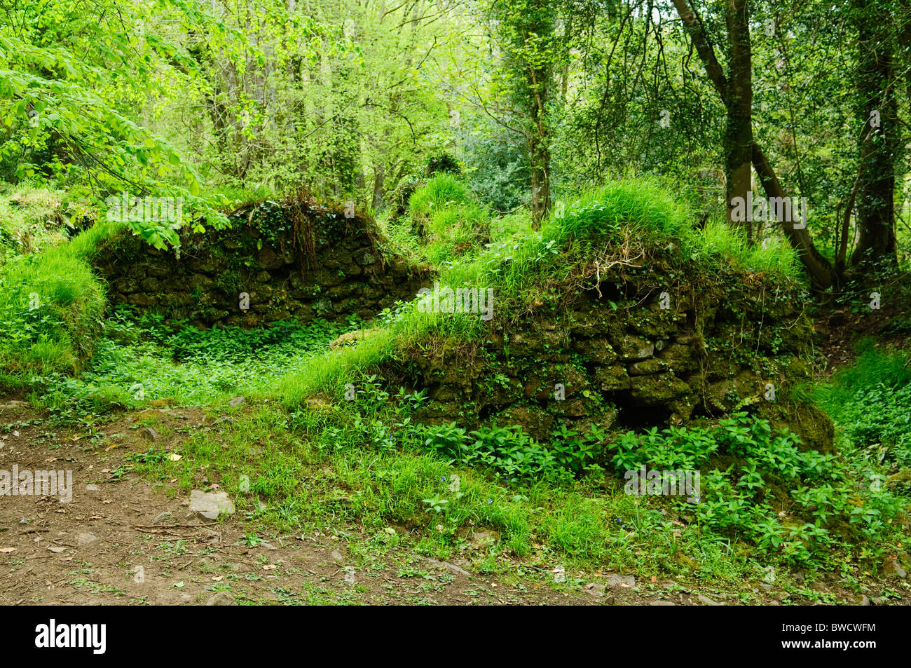 The remains of Fingle Mill in Charles Wood near the River Teign in Dartmoor National Park, Devon, England. Stock Photo