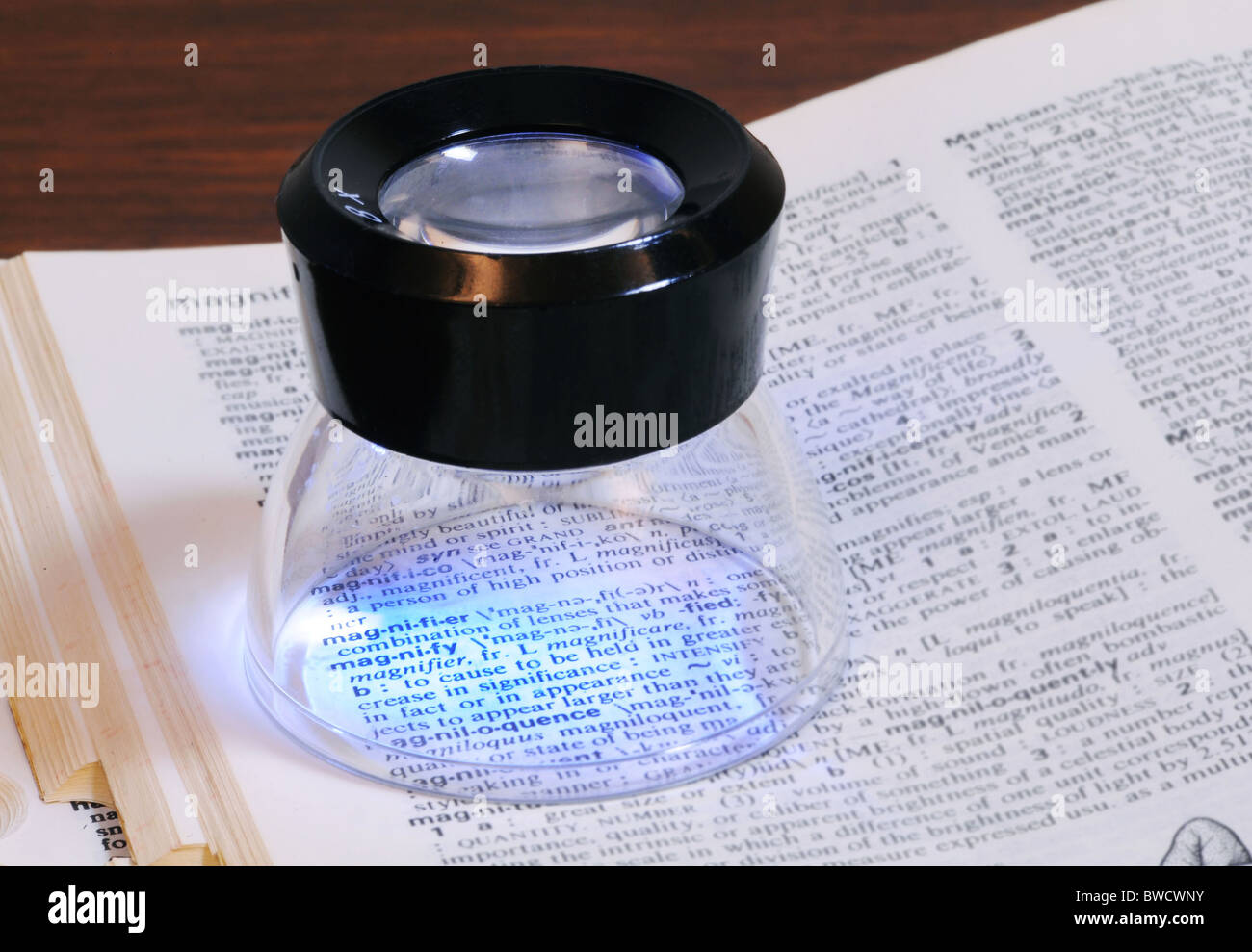 Reading loupe for small type Stock Photo Alamy
