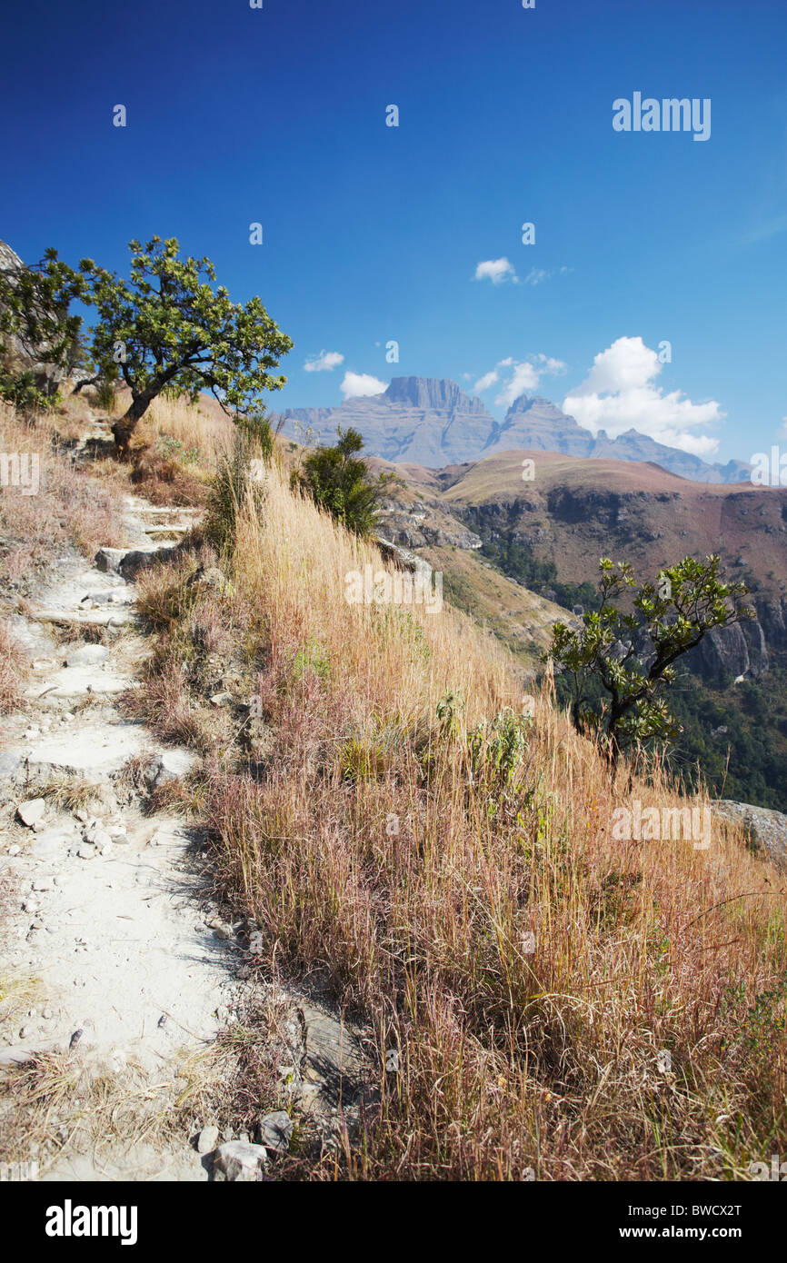 Hiking trail in Monk's Cowl Nature Reserve, Ukhahlamba-Drakensberg Park, KwaZulu-Natal, South Africa Stock Photo