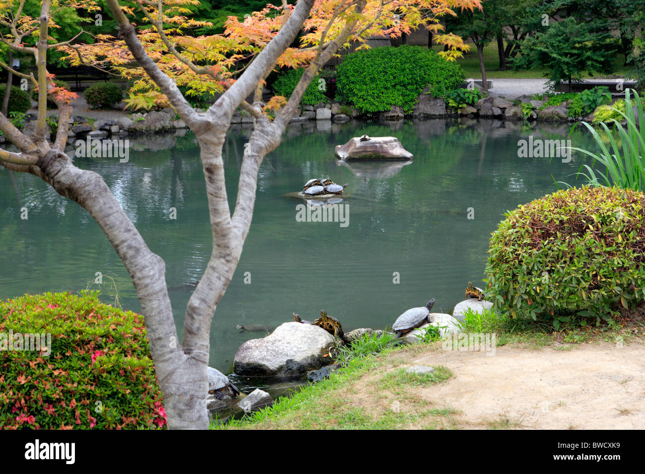 Monastery garden, Tod-ji, Kyoto, Japan Stock Photo