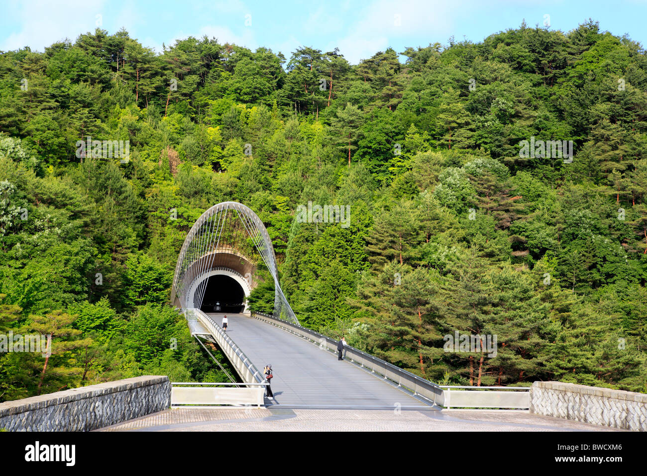 Bridge to the Miho Museum