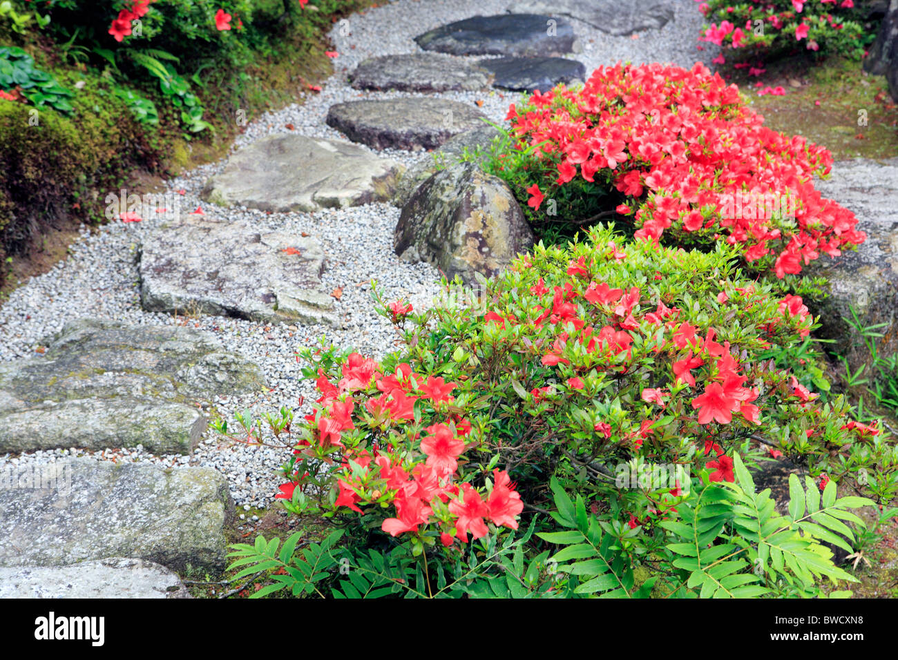 Japan flowers hi-res stock photography and images - Alamy