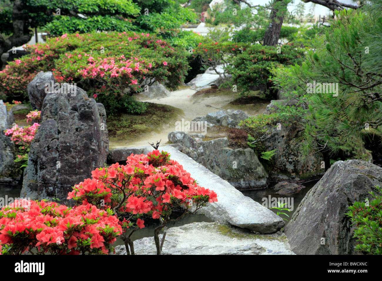 Japan flowers hi-res stock photography and images - Alamy