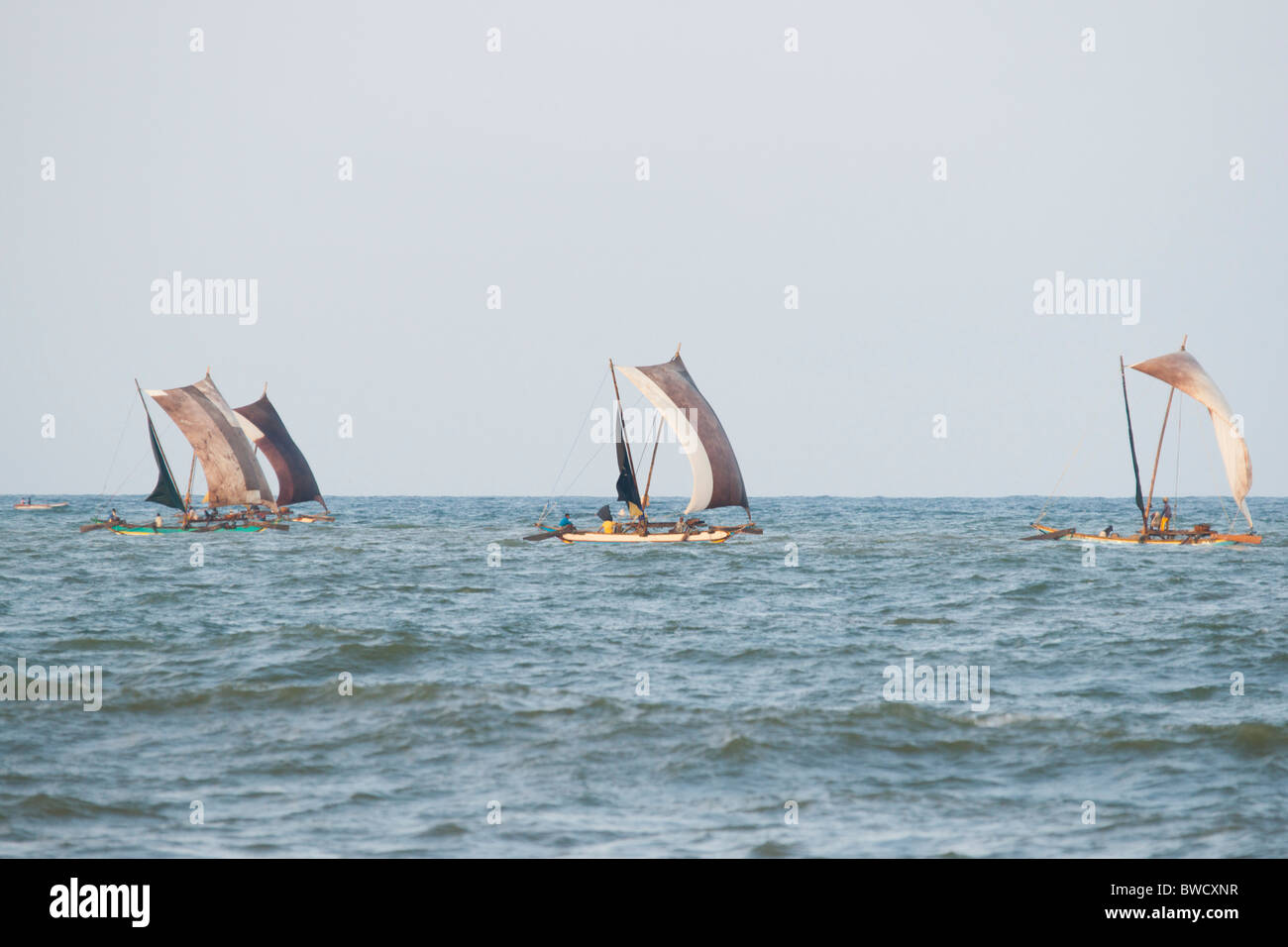 Traditional fishing vessels sailing on the Indian Ocean, Sri lanka Stock Photo