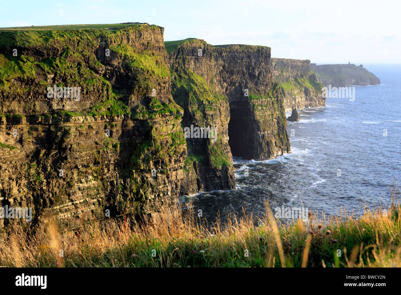 Cliffs of Moher, Clare county, Ireland Stock Photo