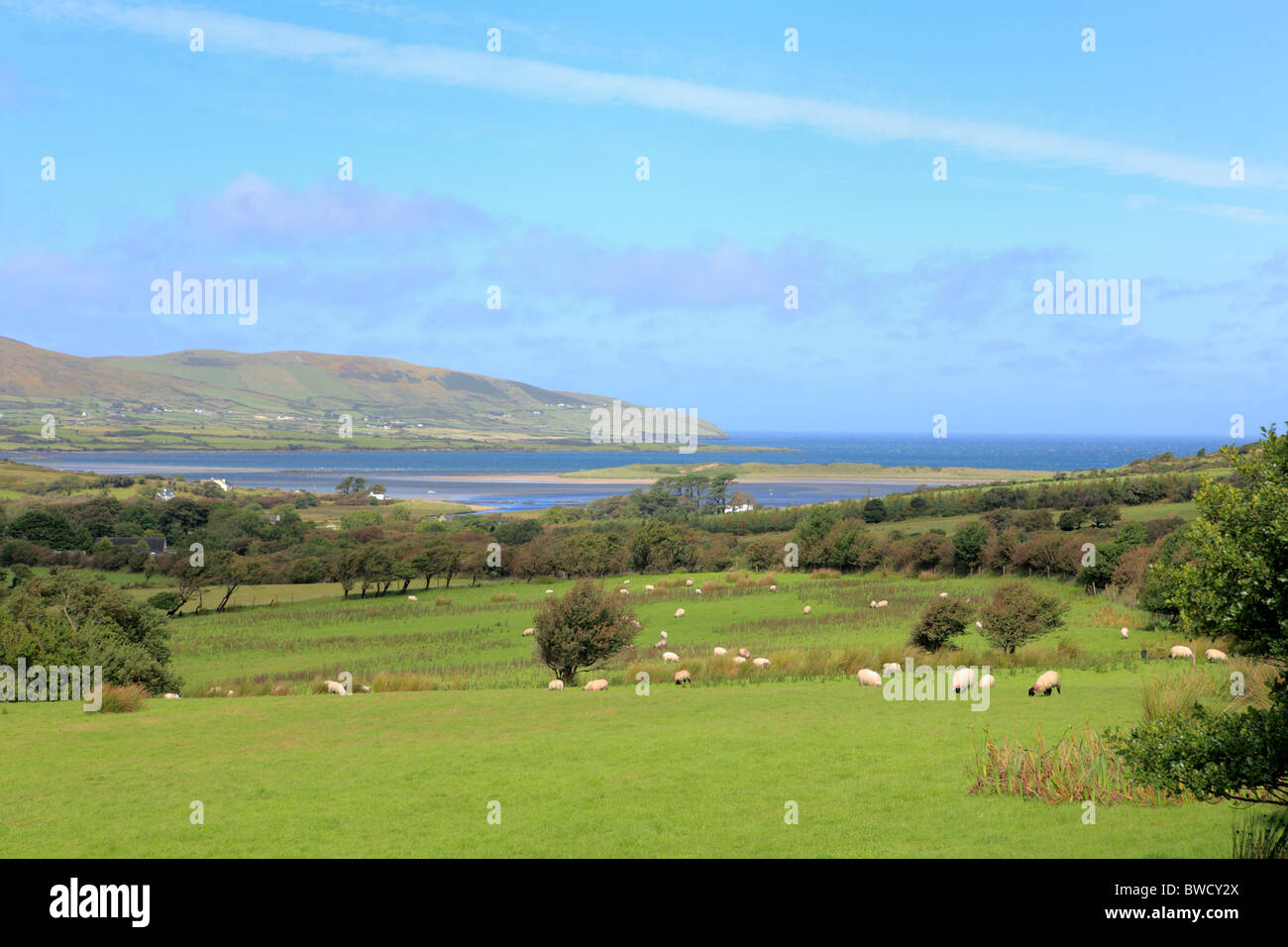 Brandon bay, Dingle peninsula, Kerry county, Ireland Stock Photo