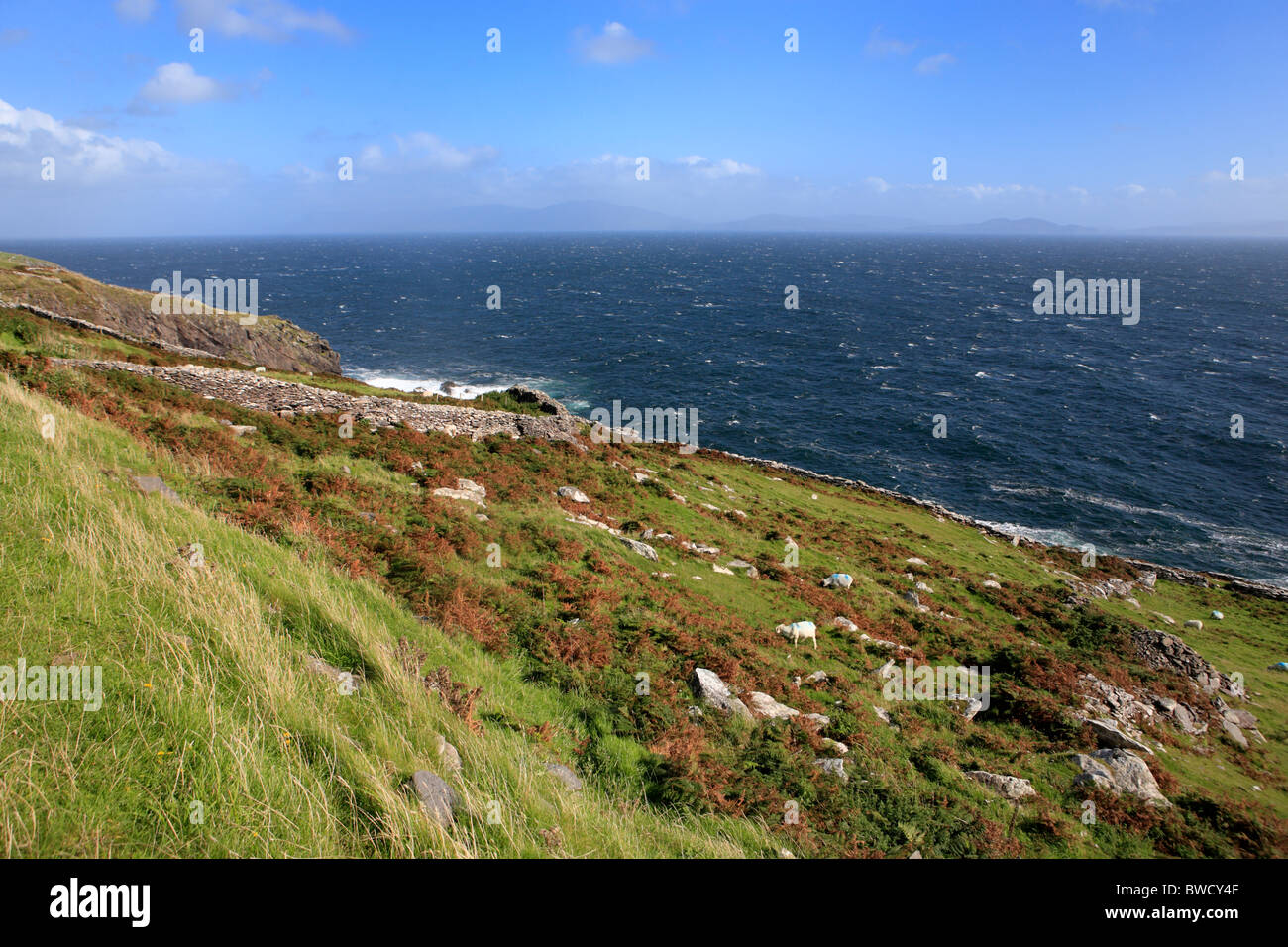 Dingle peninsula near Fahan and Dunberg fort, Kerry county, Ireland Stock Photo