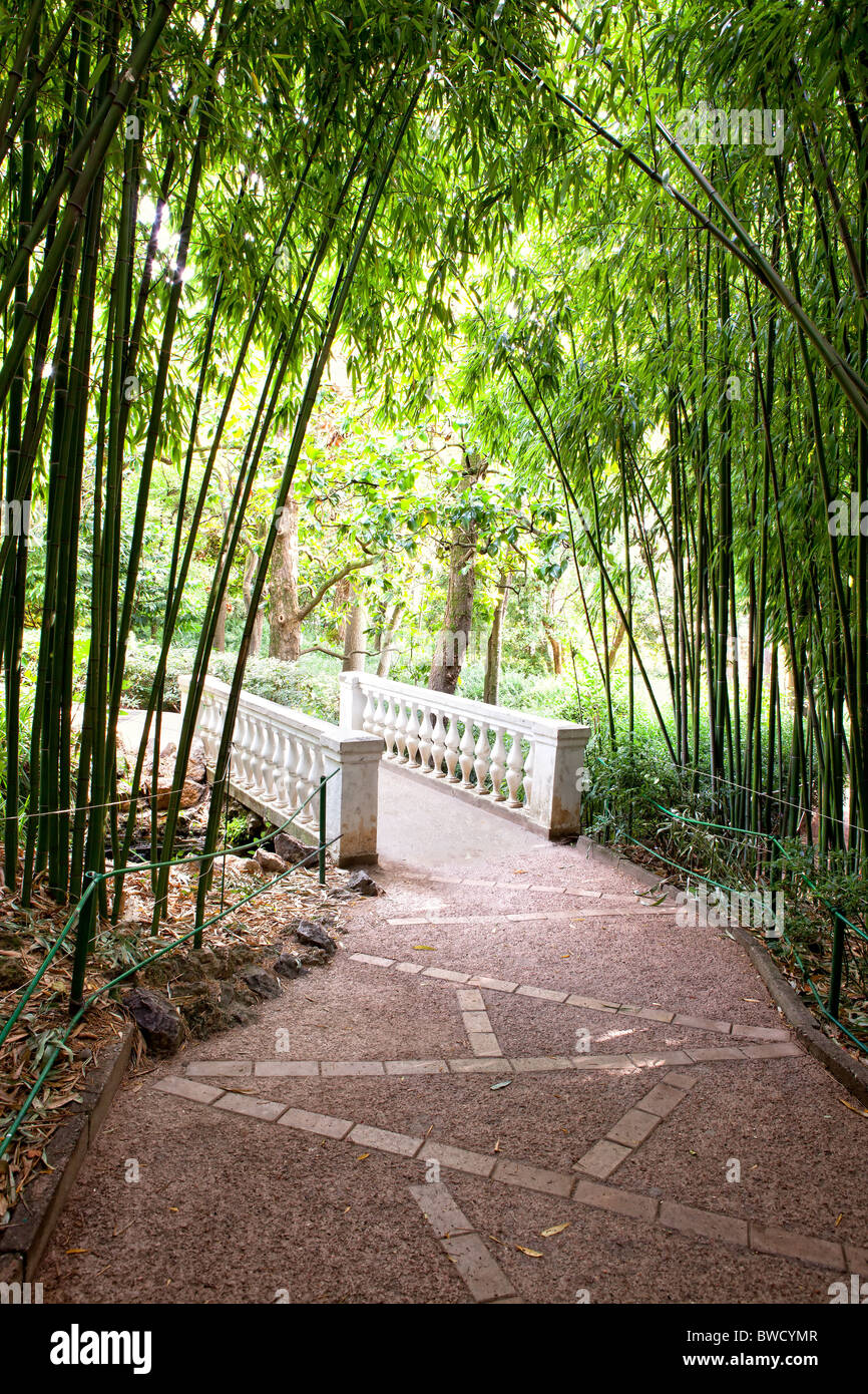 path leading into a bamboo garden with river and bridge Stock Photo