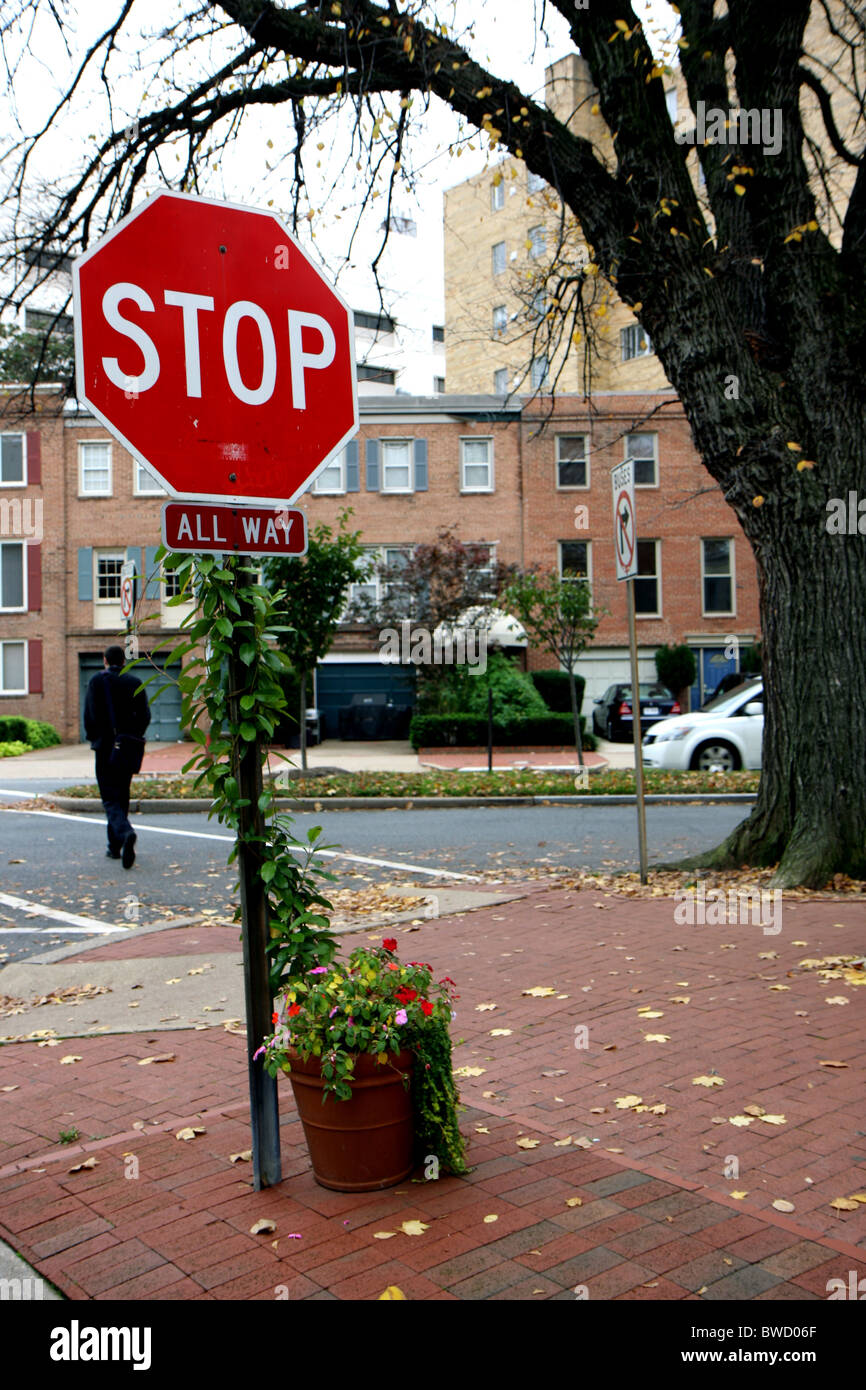 Stop sign a plant at Washington DC Stock Photo