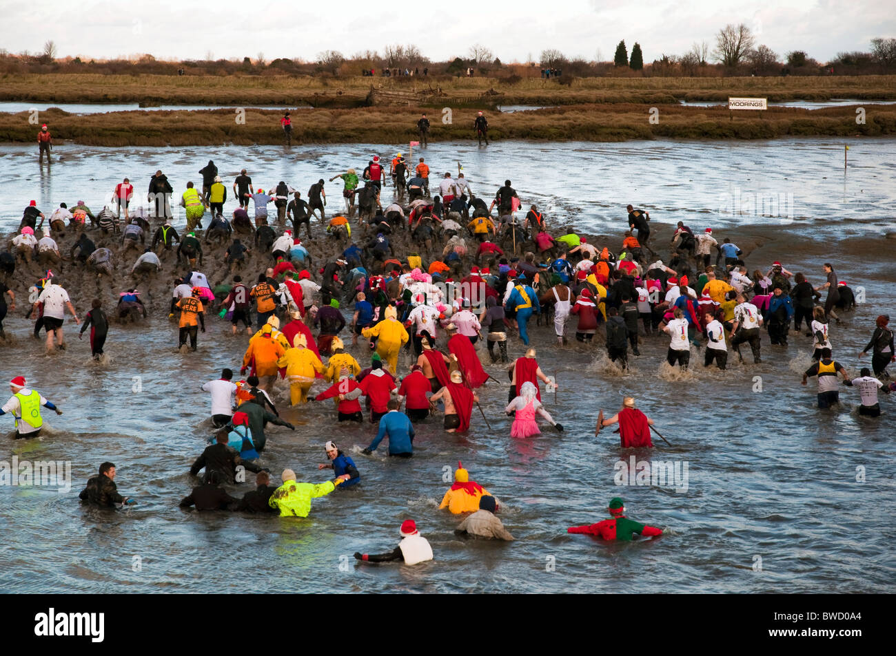 Maldon Mud Race Stock Photo