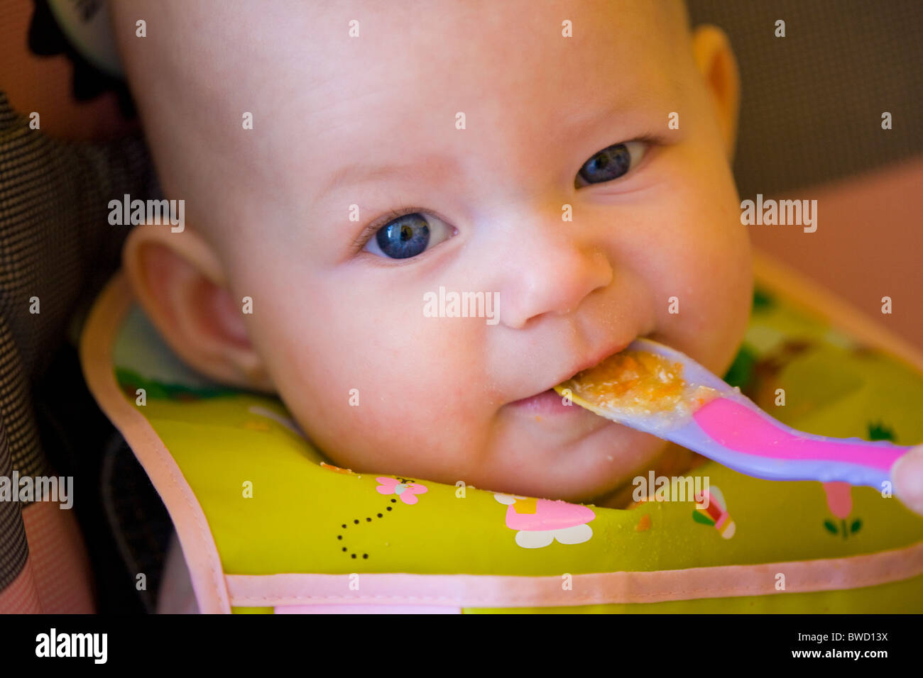 portrait of eating baby Stock Photo