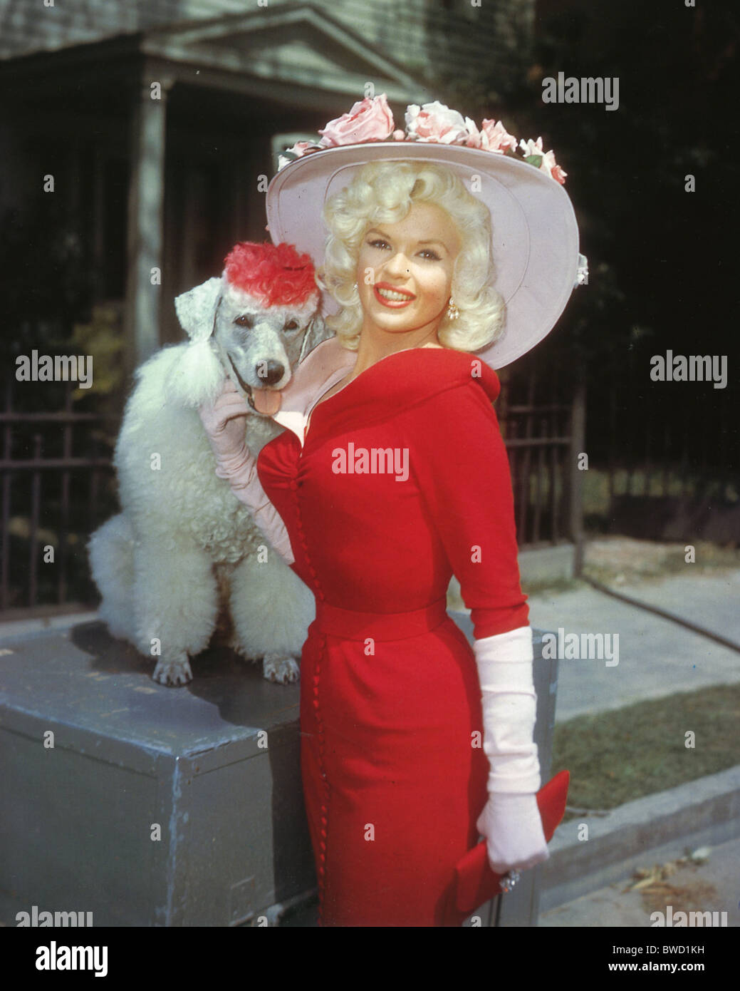 Jayne mansfield 1950s hires stock photography and images Alamy