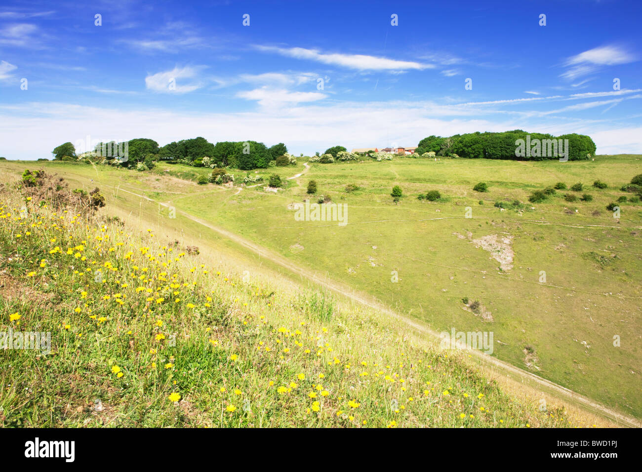 Devil's Dyke; West Sussex; England, Great Britain Stock Photo