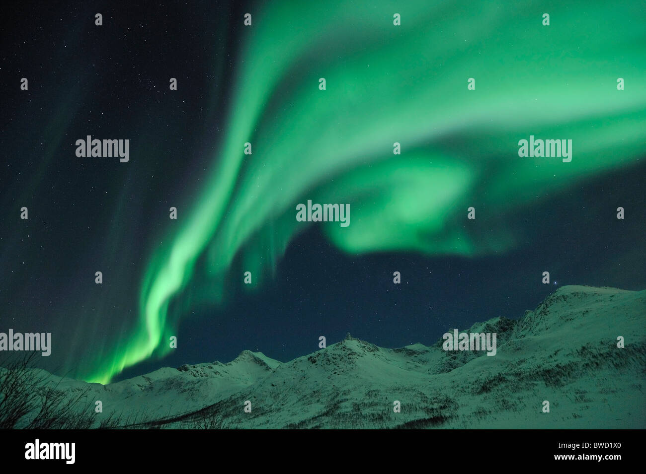A powerful outburst of Northern Lights (Aurora Borealis) on the island Kvaloya close to Tromso, North Norway Stock Photo