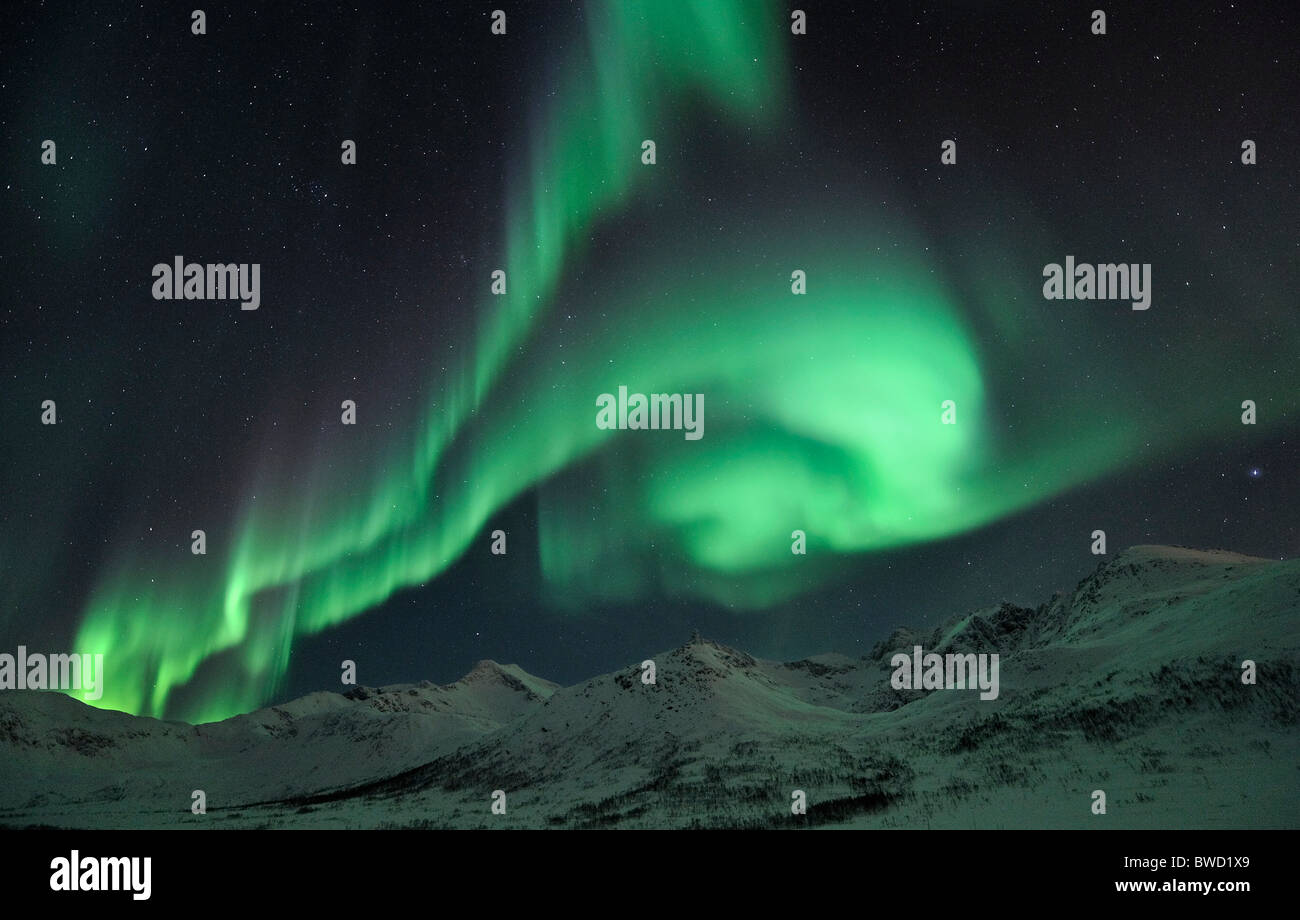 A powerful outburst of Northern Lights (Aurora Borealis) on the island Kvaloya close to Tromso, North Norway Stock Photo