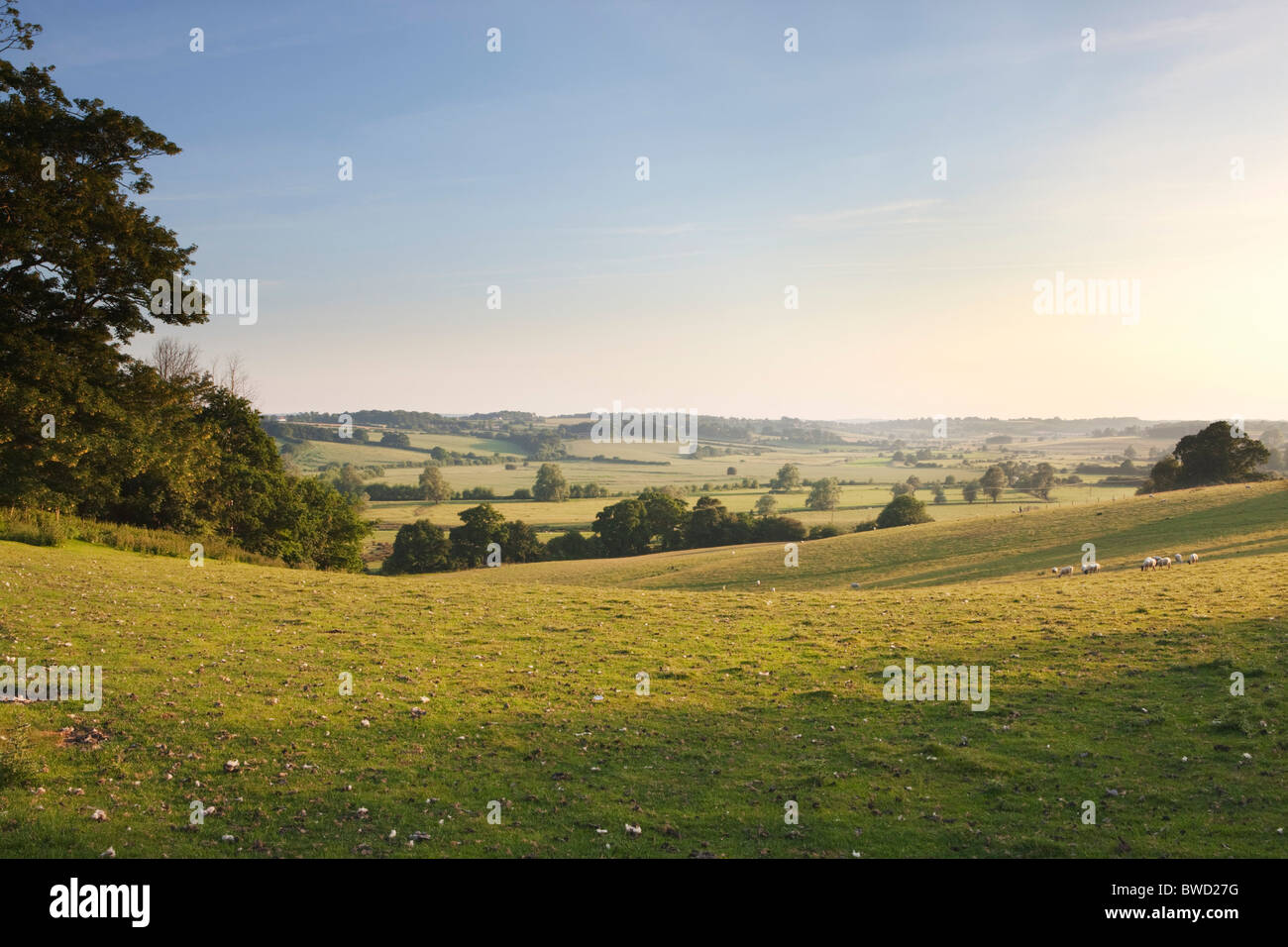 Sunset over rolling landscape East Sussex; England, Great Britain Stock Photo