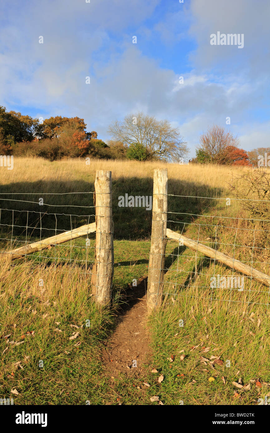 Box hill surrey autumn hires stock photography and images Alamy