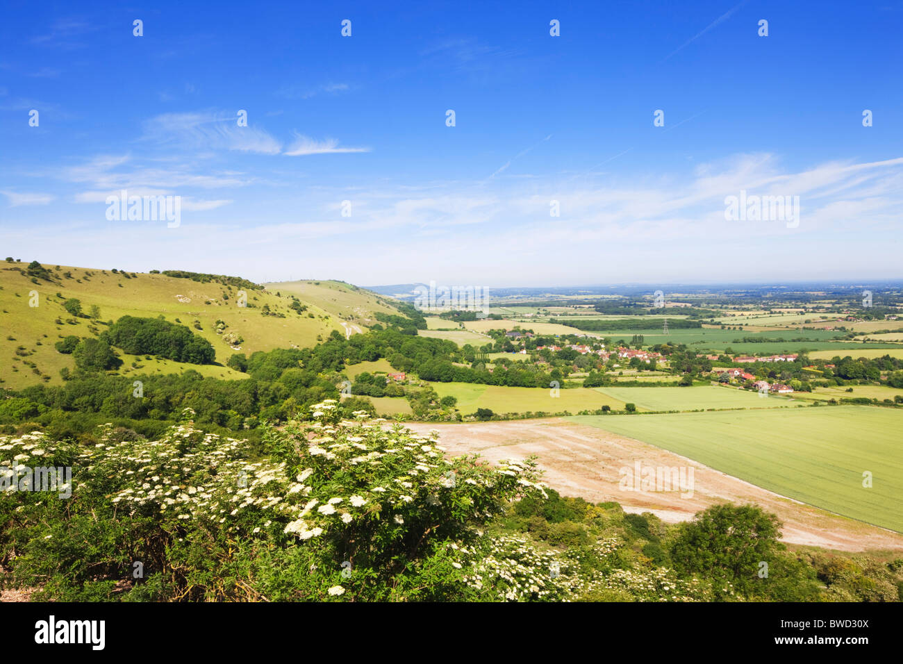 South Downs; West Sussex; England, Great Britain Stock Photo