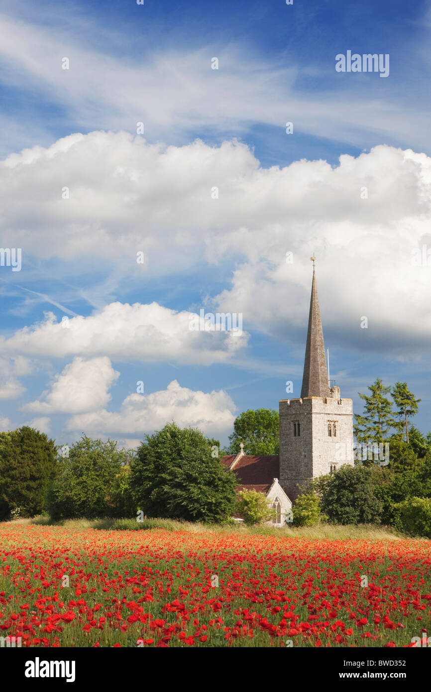 Poppy field in front of church; East Barming; Kent; England Stock Photo