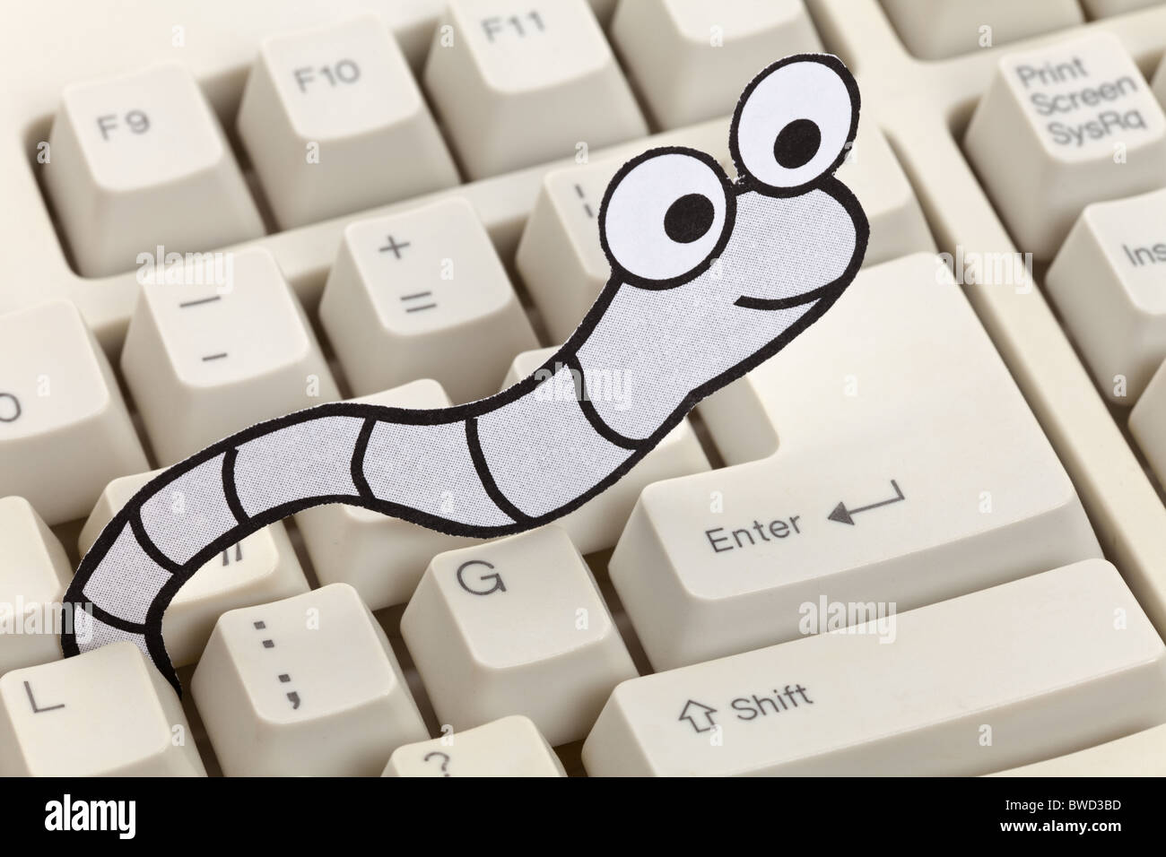 Worm and computer keyboard, concept of Security, Virus Stock Photo