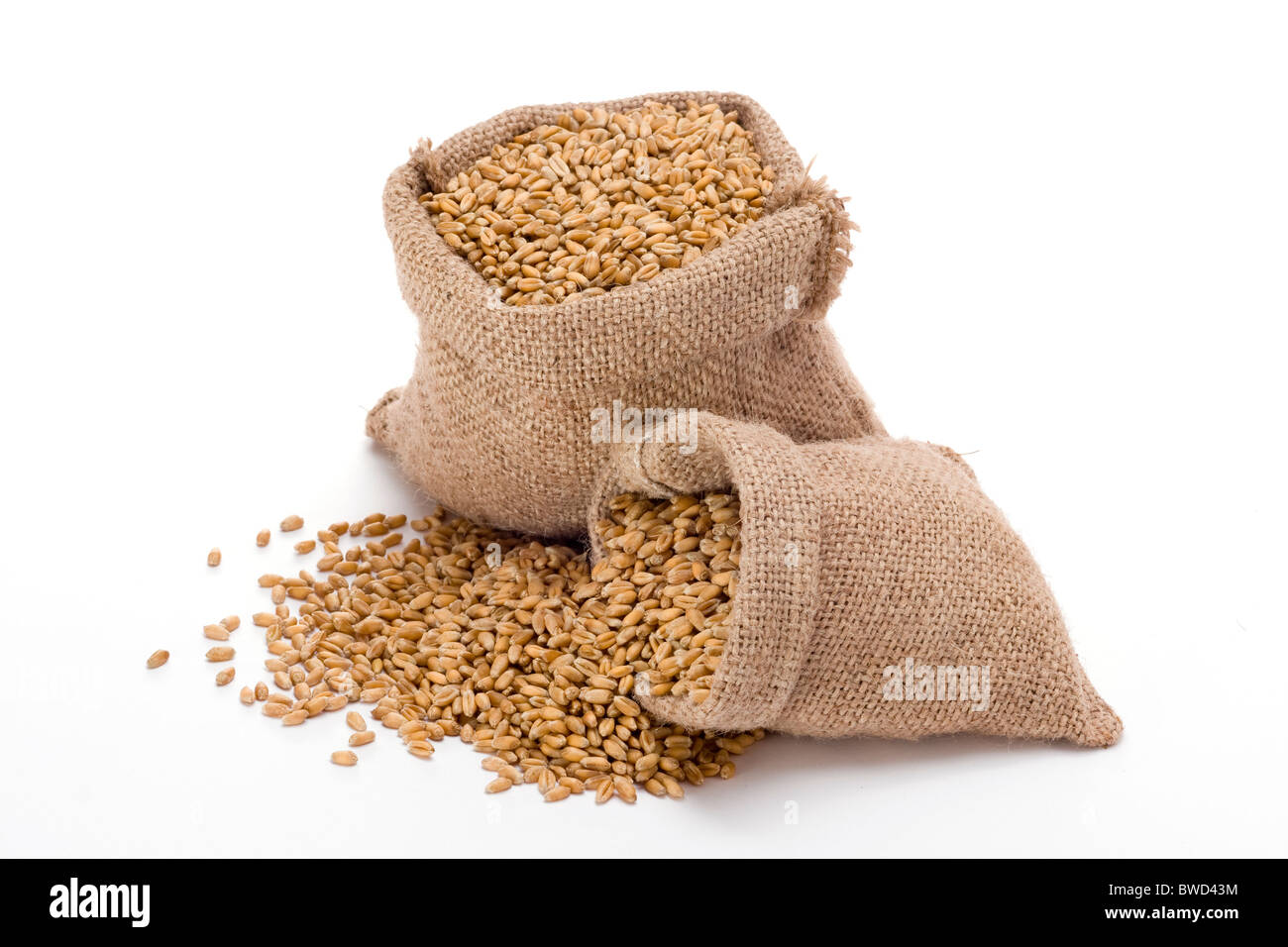 Wheat in small burlap sacks Stock Photo
