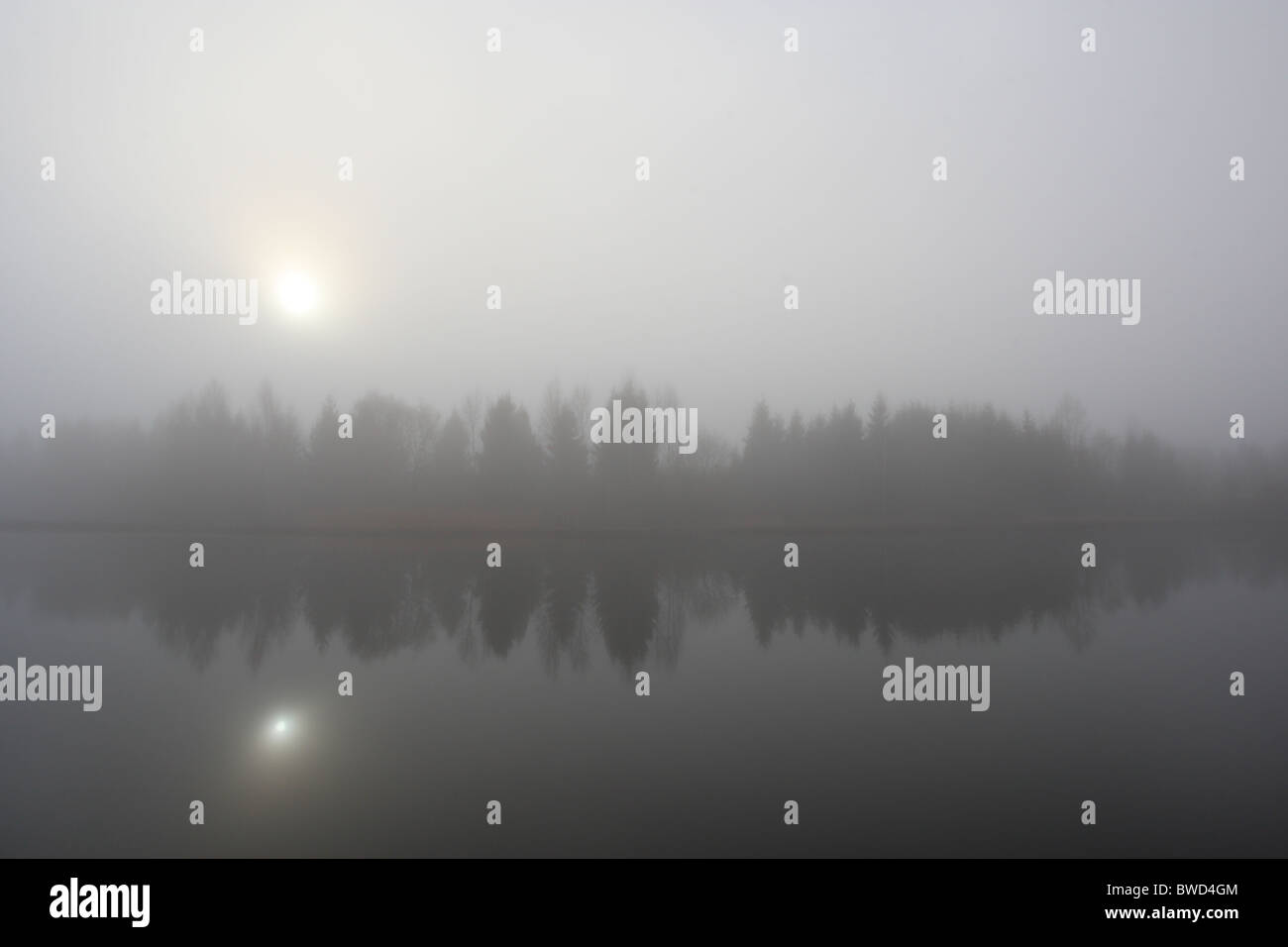 Autumn morning with a thick fog at lake Stock Photo - Alamy