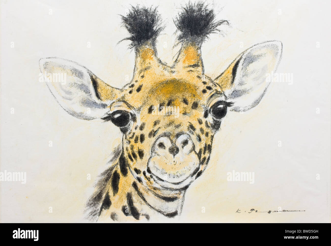 Giraffe, pastel chalk on paper by Kurt Tessmann Stock Photo - Alamy