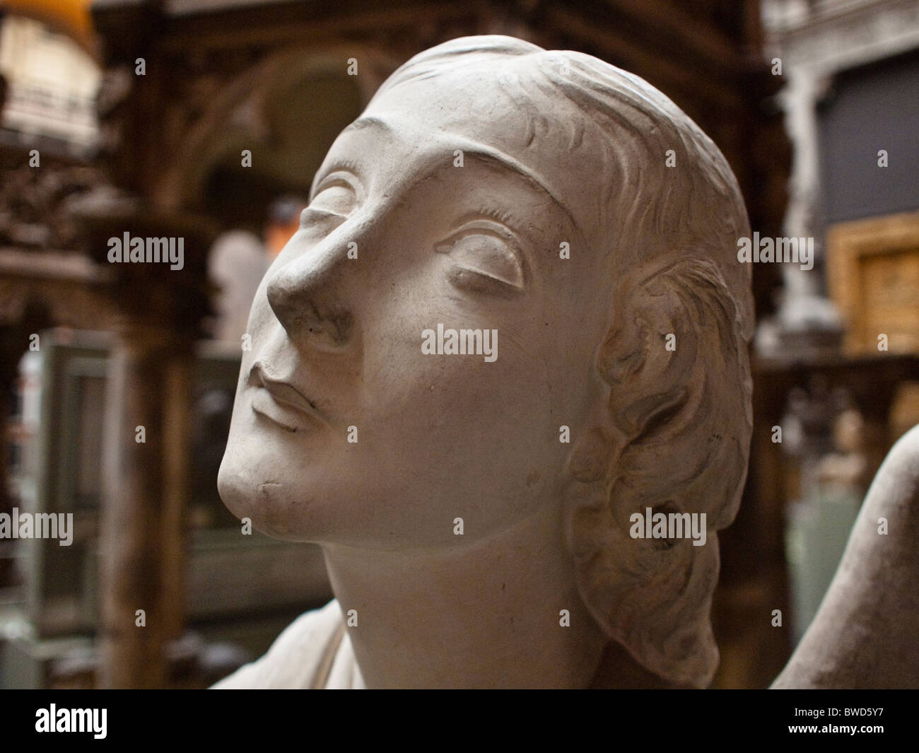 Bust Stock Photo - Alamy
