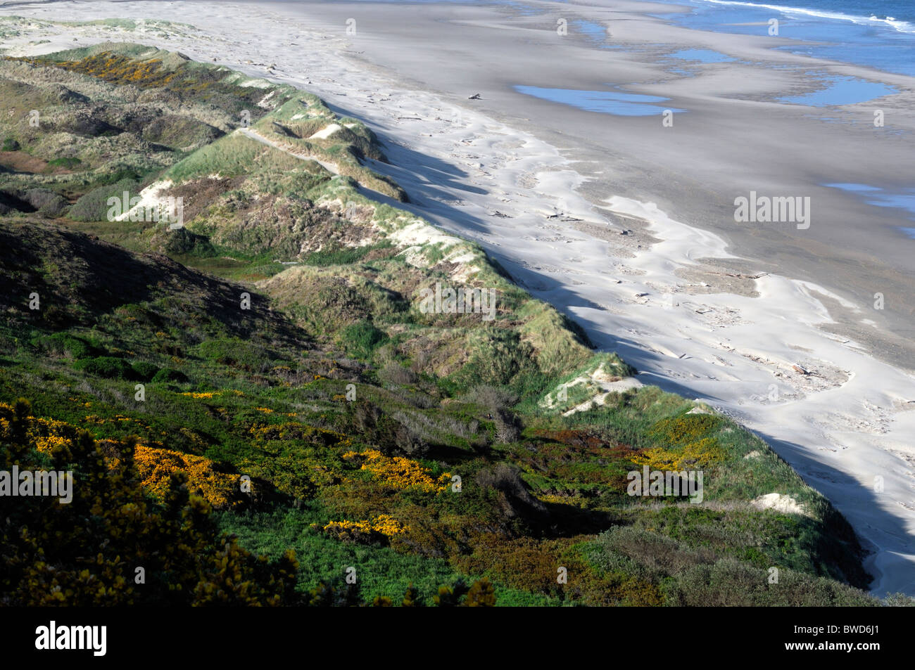 baker beach florence oregon usa pacific ocean northwest long sandy