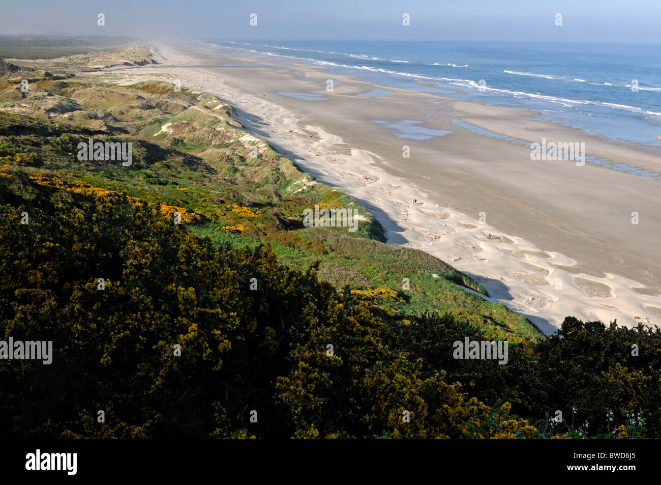 baker beach florence oregon usa pacific ocean northwest long sandy
