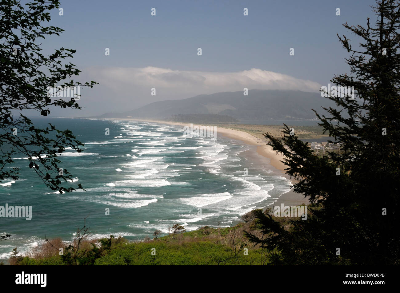 Netarts Bay Cape Lookout State Park Oregon Pacific Northwest Ocean