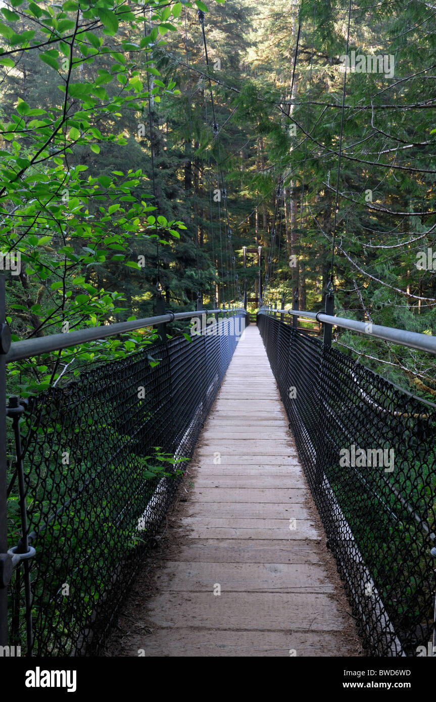 Drift Creek Falls suspension bridge Siuslaw National Forest Coast Range