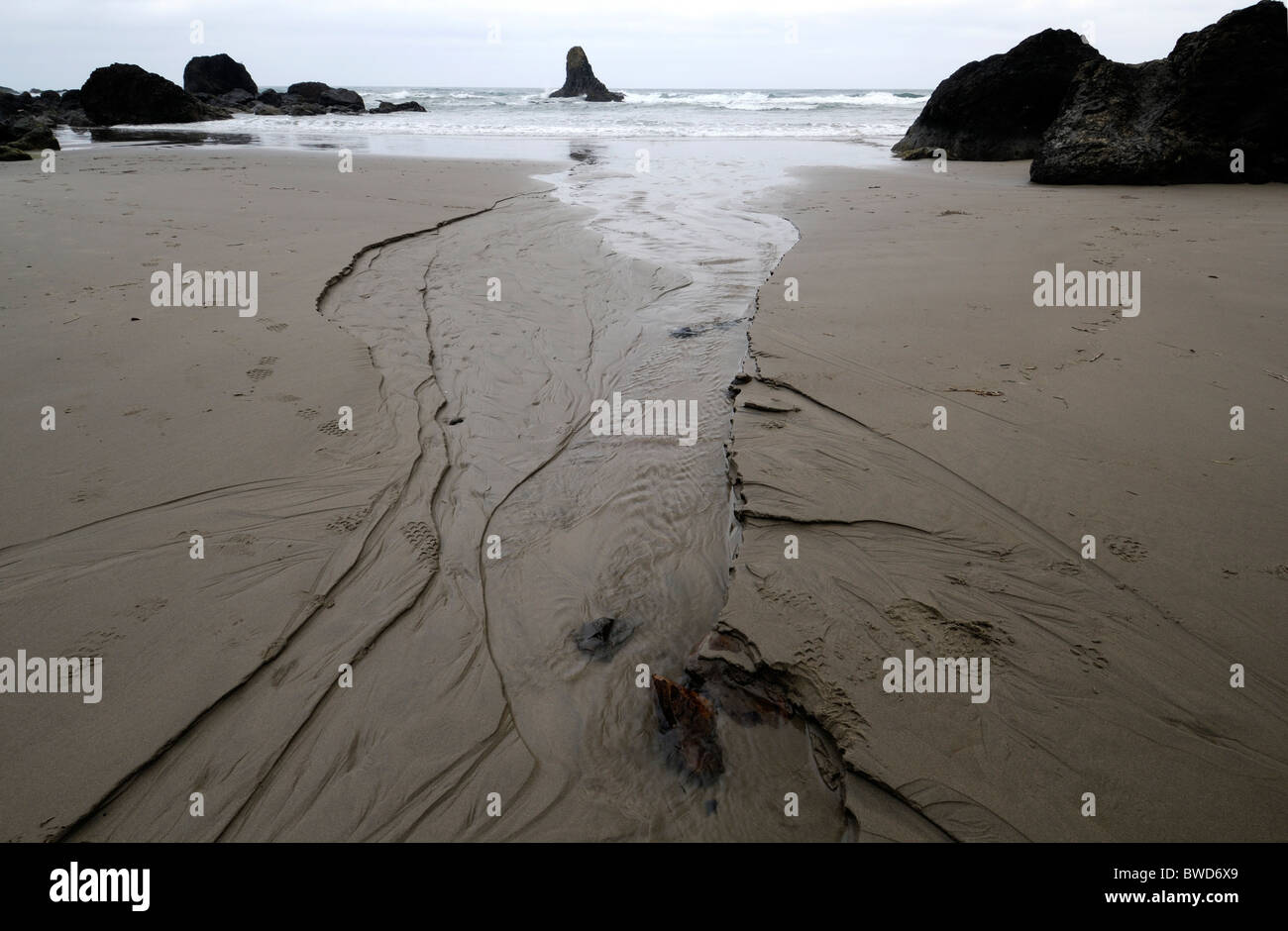 ecola state coast coastal coastline shore shoreline oregon USA pacific ocean northwest Stock Photo