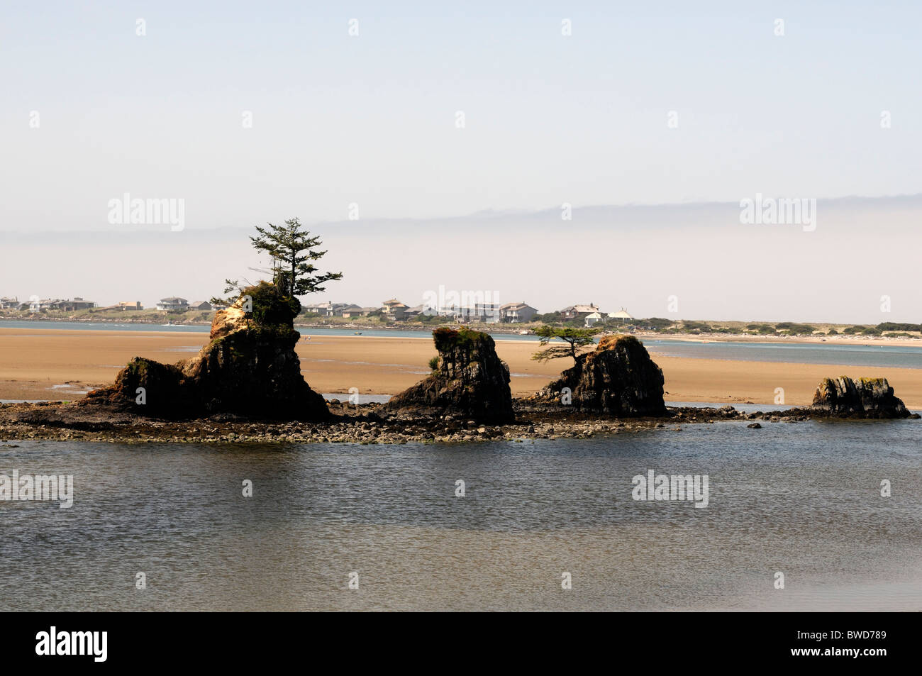 seastacks rock formations low tide siletz bay outside Lincoln city oregon pacific ocean northwest USA Stock Photo