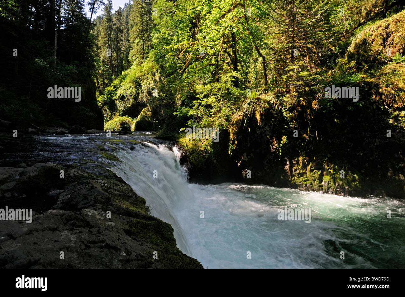 lower punchbowl Falls waterfall Columbia River oregon Historic
