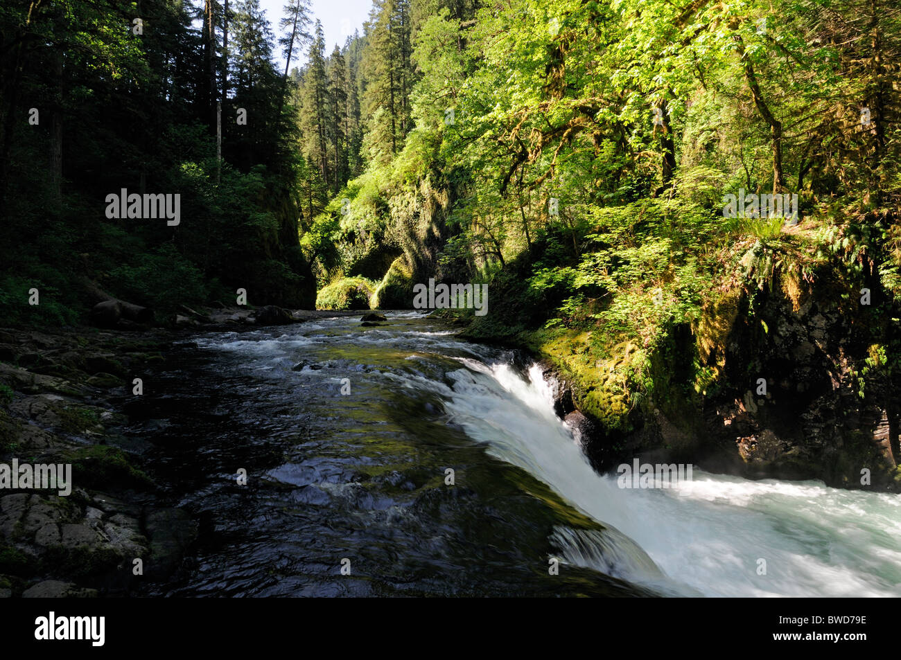 lower punchbowl Falls waterfall Columbia River oregon Historic