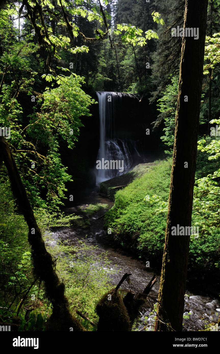 Middle North falls Silver Falls State Park Oregon USA  Trail of Ten Falls Canyon Trail Stock Photo